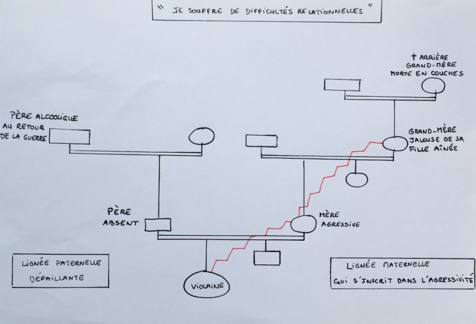 Le Génosociogramme - Virginie Martin